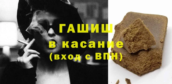 индика Пестово