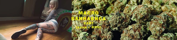 индика Пестово