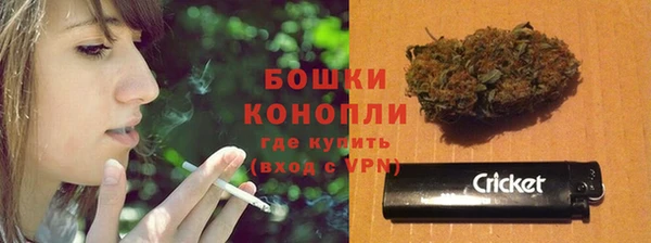индика Пестово