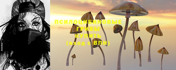мет Осташков
