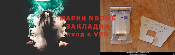 индика Пестово