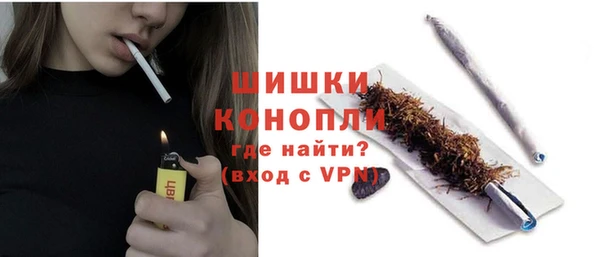 индика Пестово