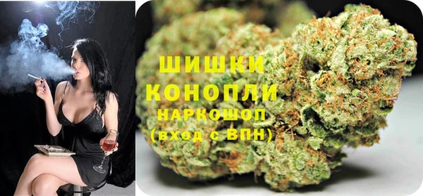 индика Пестово