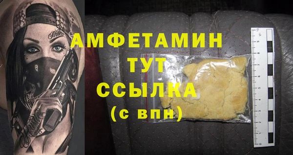 индика Пестово
