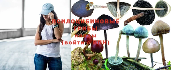 индика Пестово