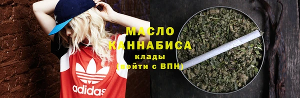 индика Пестово