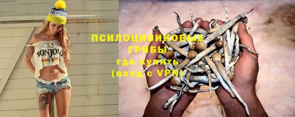 герыч Переславль-Залесский