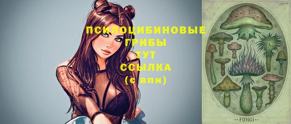 индика Пестово