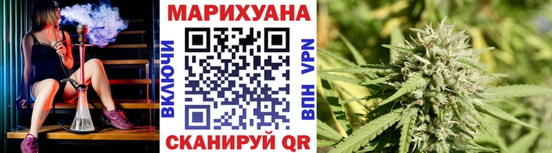 МАРИХУАНА конопля  как найти закладки  Андреаполь 